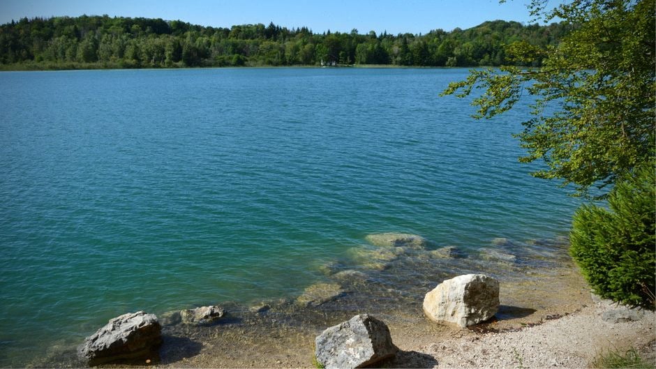 Acteurs économiques du Dunkerquois autour du projet nucléaire EPR2